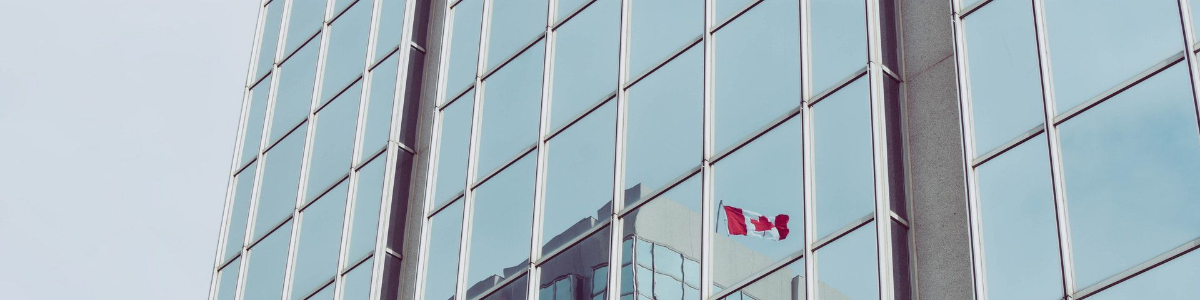 新加坡公司业务范围全面解析：开启全球市场的通行证