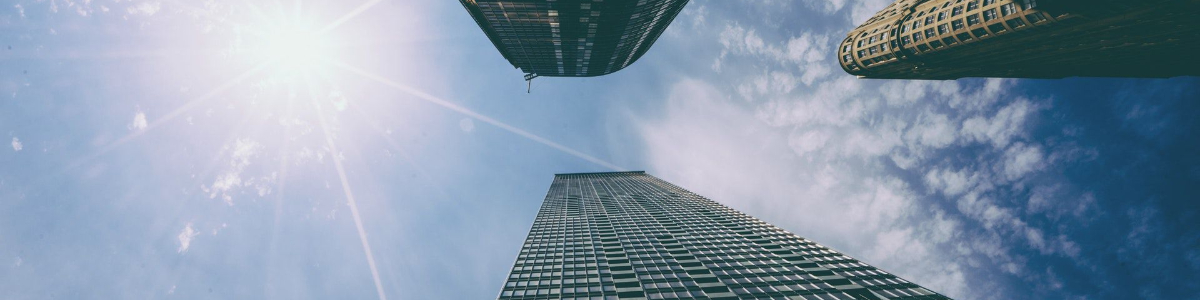 深入了解美国各州商品税税率：全面指南